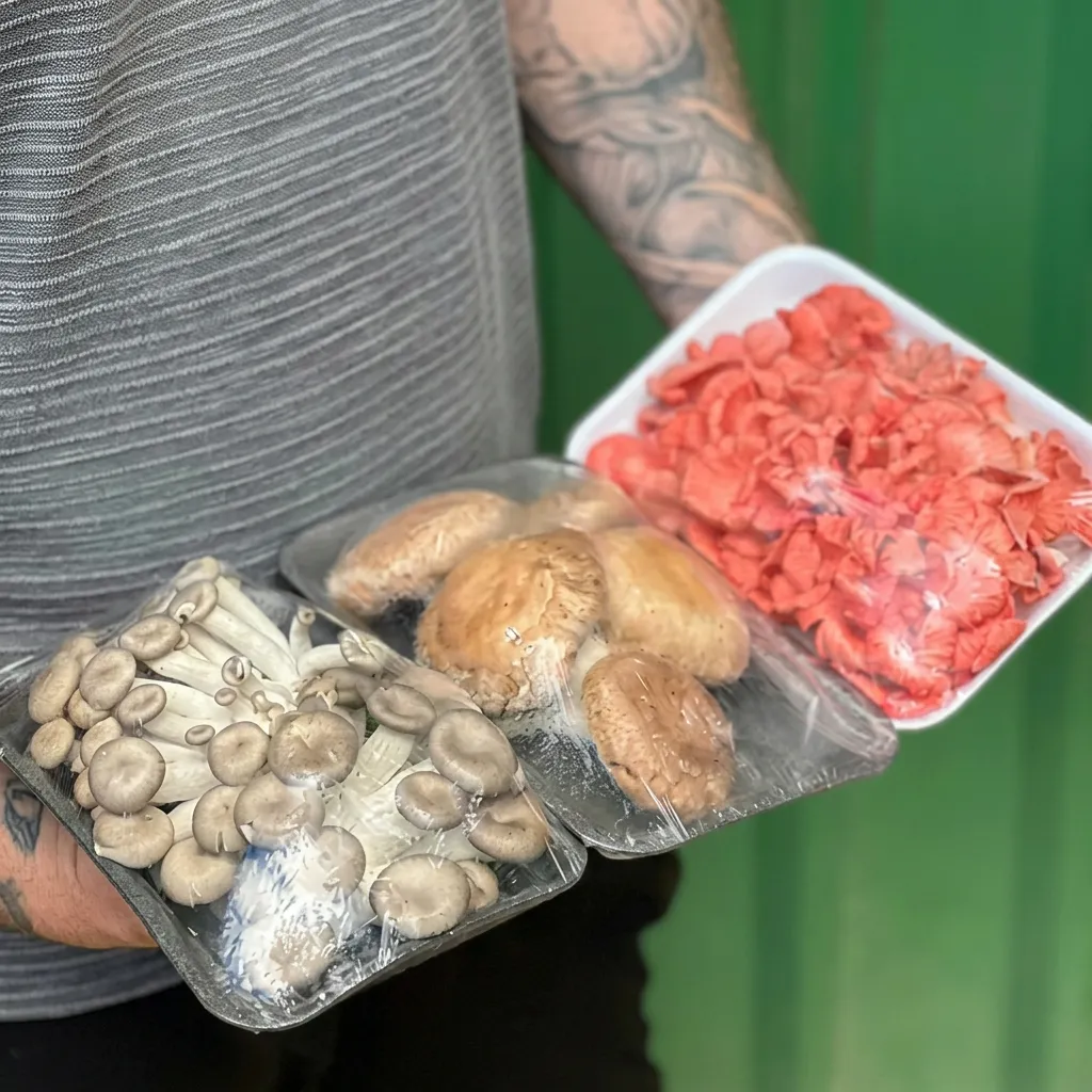 Estratégia de venda de cogumelos